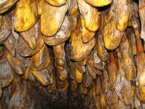 Jamones en la bodega a Montesierra