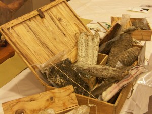 Terre di Toscana: la cinta
