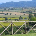 Panorama Panorama