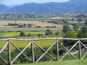 Panorama