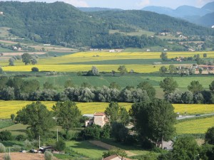 Panorama