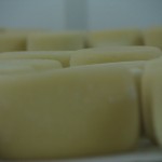 Pecorini