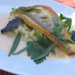 Filetto di gallinella e risotto di zucchine al Parmigiano