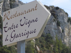 Insegna