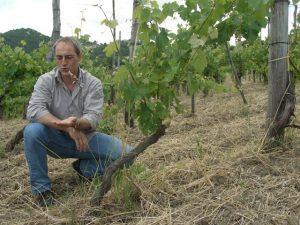 Raffaele Troisi e la terra di Vadiaperti