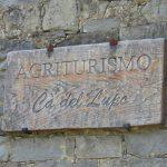 Insegna