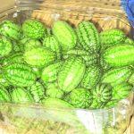 Pepquino