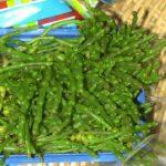 Salicornia-Cress