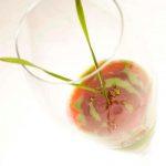 Cocktail di benvenuto - foto Paolo Picciotto