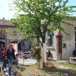 L'albero della cucccagna