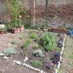 Erbe aromatiche