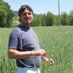 Mirko in mezzo al farro