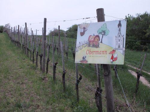 Weinbau Obermann - picnic nelle vigne