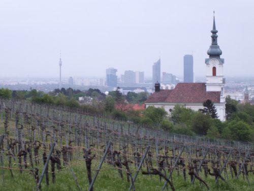 Vienna vista dalle colline vitate