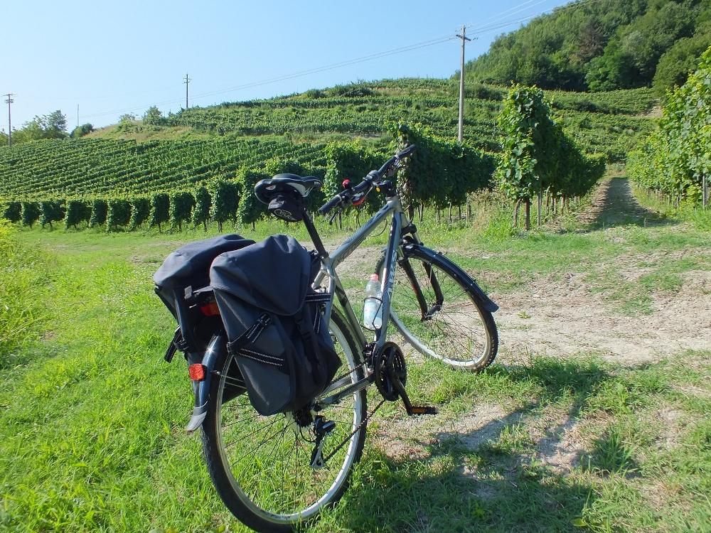 Treno + bici+ vino: verso le colline dell'Oltrep Pavese ...