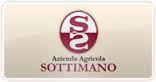 Sottimano_logo