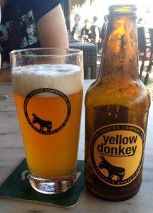 yellow donkey