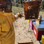 apicoltore  parco delle api 150x150 Castello di Meleto inaugura il Parco delle api