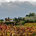 riserva della cascina vigneti 1 150x150 Il vino dell’Appia Antica