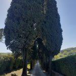 biondi santi ingresso 150x150 Diari di Montalcino/3 – Gianni Brunelli Le Chiuse di Sotto, Biondi Santi