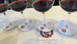 I vini delle Pievi di Montepulciano